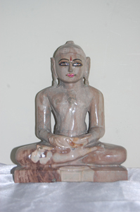 Petrified Wood Fossilised Wood